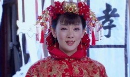 电视剧嫁衣在线观看,穿越时空的华丽邂逅